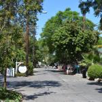 MysteryCruise_0060 (September 06, 2013)